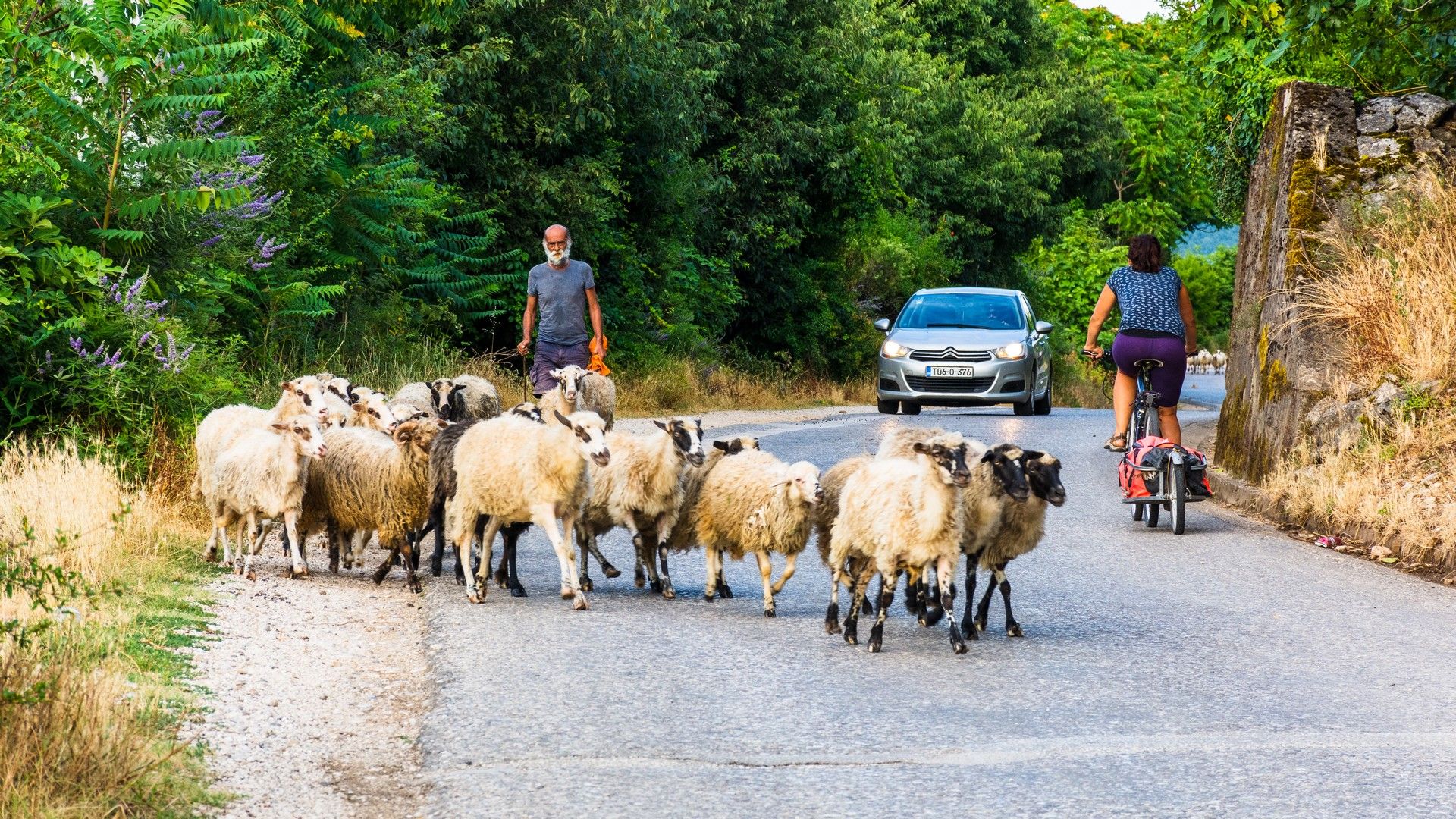 Bosna a Hercegovina